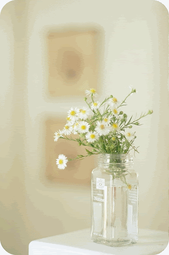 love flowers Pictures, Images and Photos