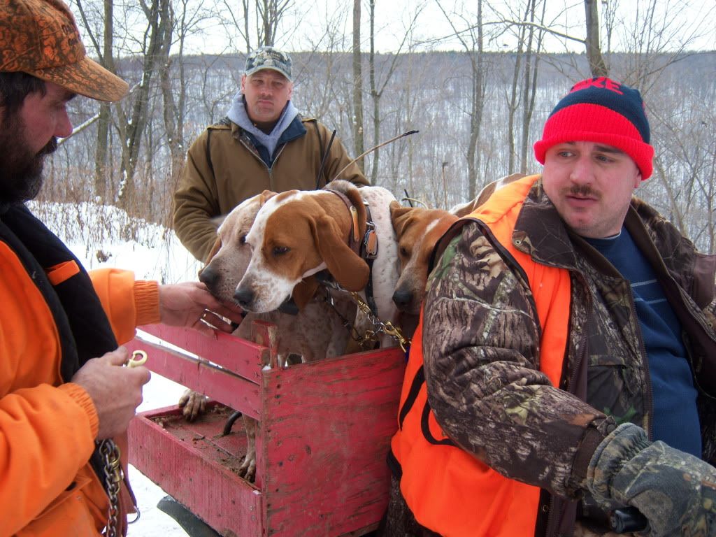 UKC Forums WV Bear Season Grant County/Mt. Storm Area