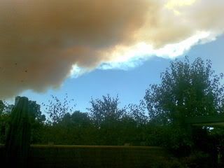 07022009001.jpg