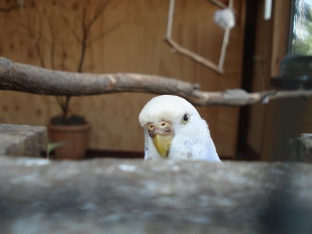 DSC04164.jpg