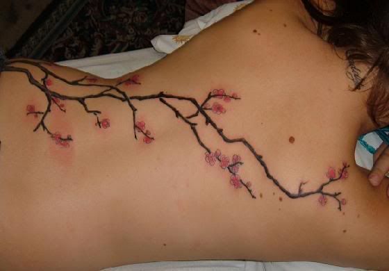  tattoo that you might like better with the same branch and flowers idea
