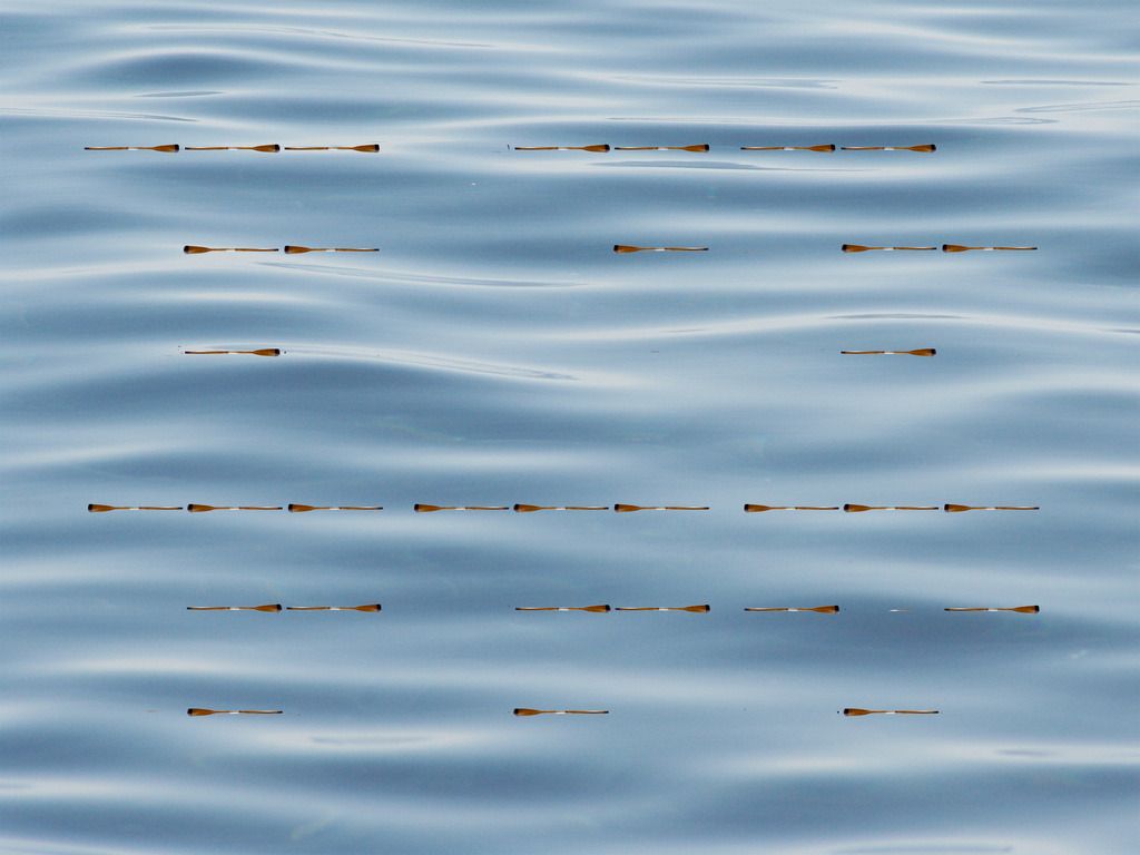  photo ARK-17_zpsczb8fvdh.jpg