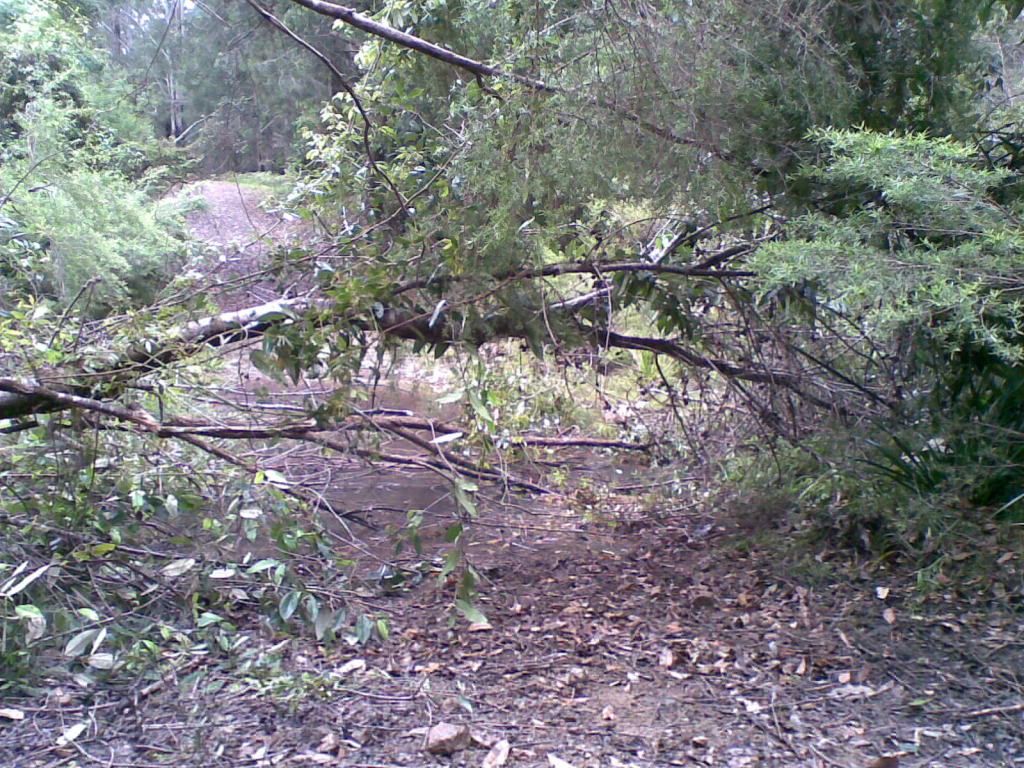 14112010003.jpg