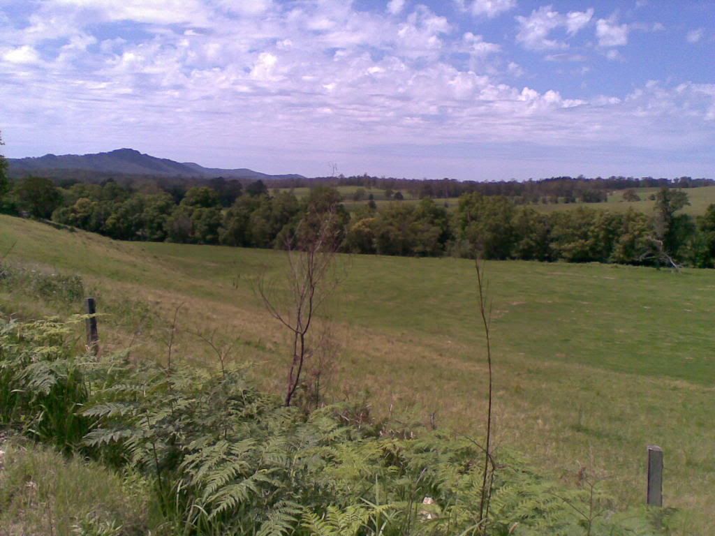 14112010006.jpg