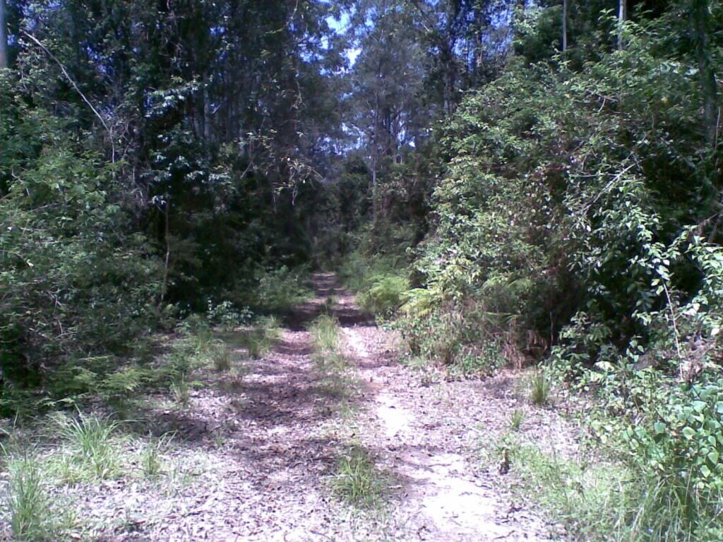 14112010007.jpg