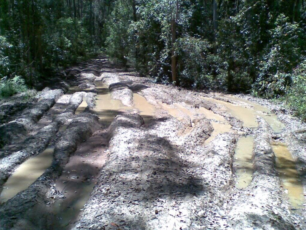 14112010008.jpg