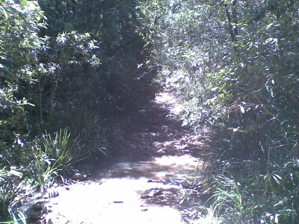14112010012.jpg