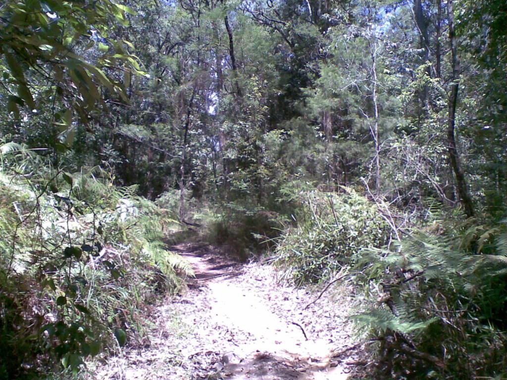 14112010013.jpg