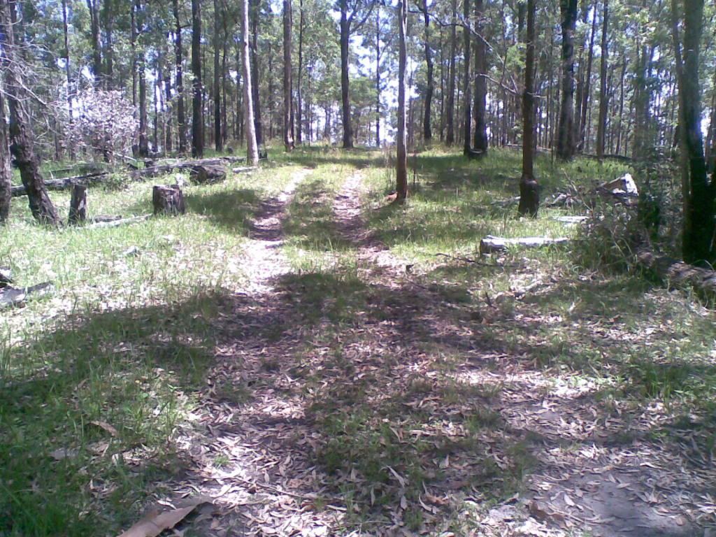 14112010015.jpg