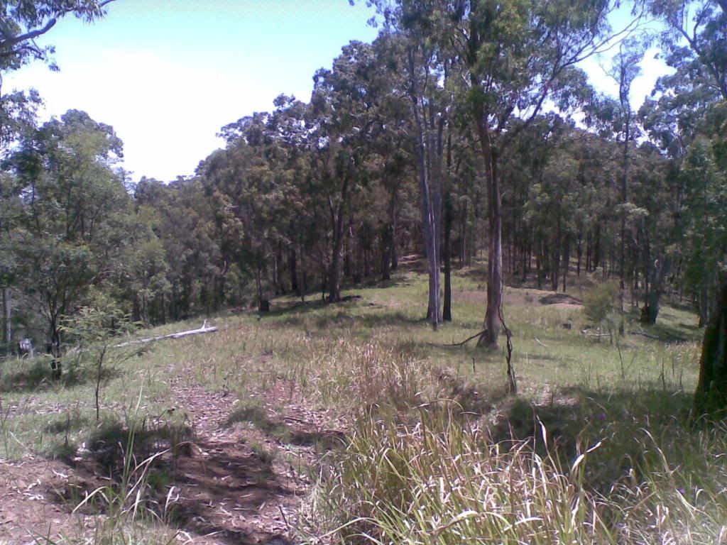 14112010016.jpg