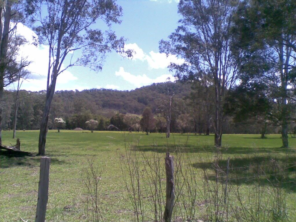 14112010018.jpg