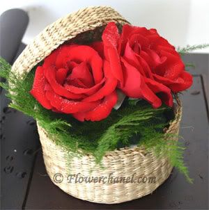 Rose Pictures, Images and Photos