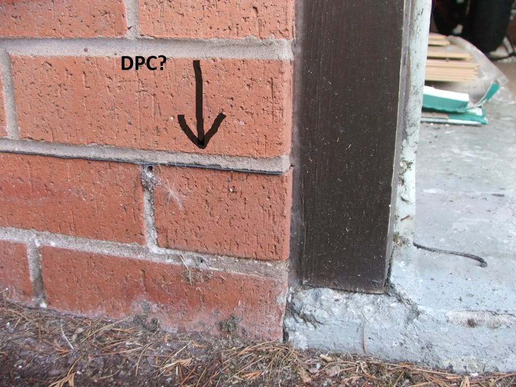 DSCF7593.jpg