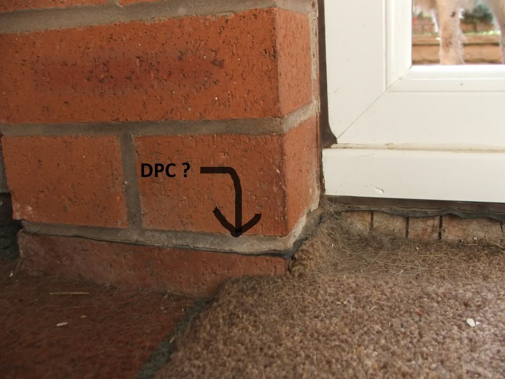 DSCF7598.jpg