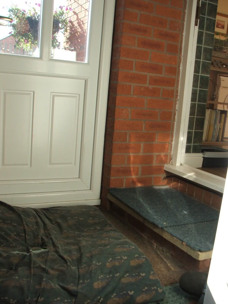 DSCF7601.jpg