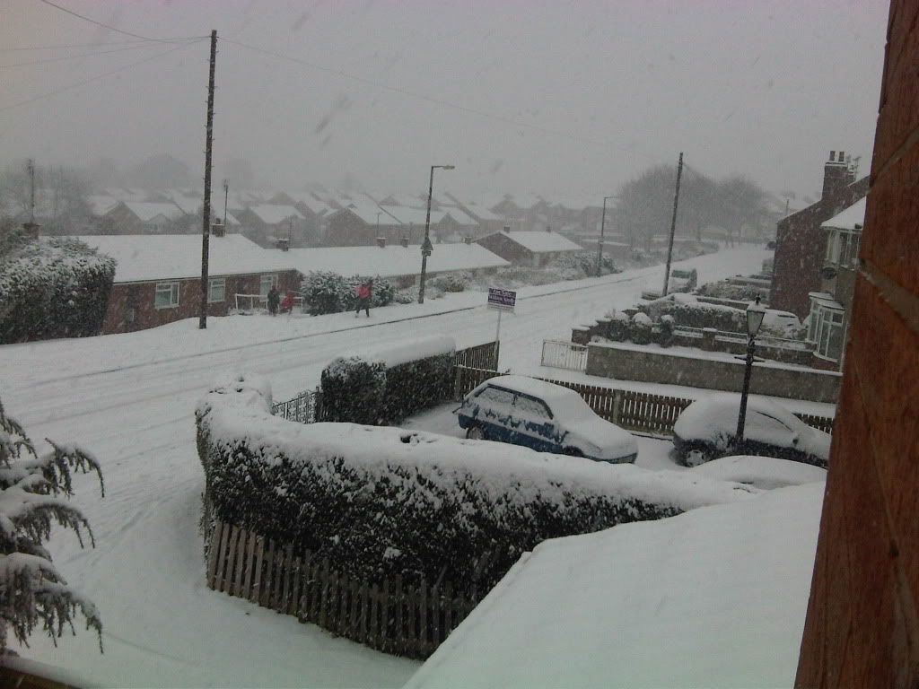 snowjan101.jpg