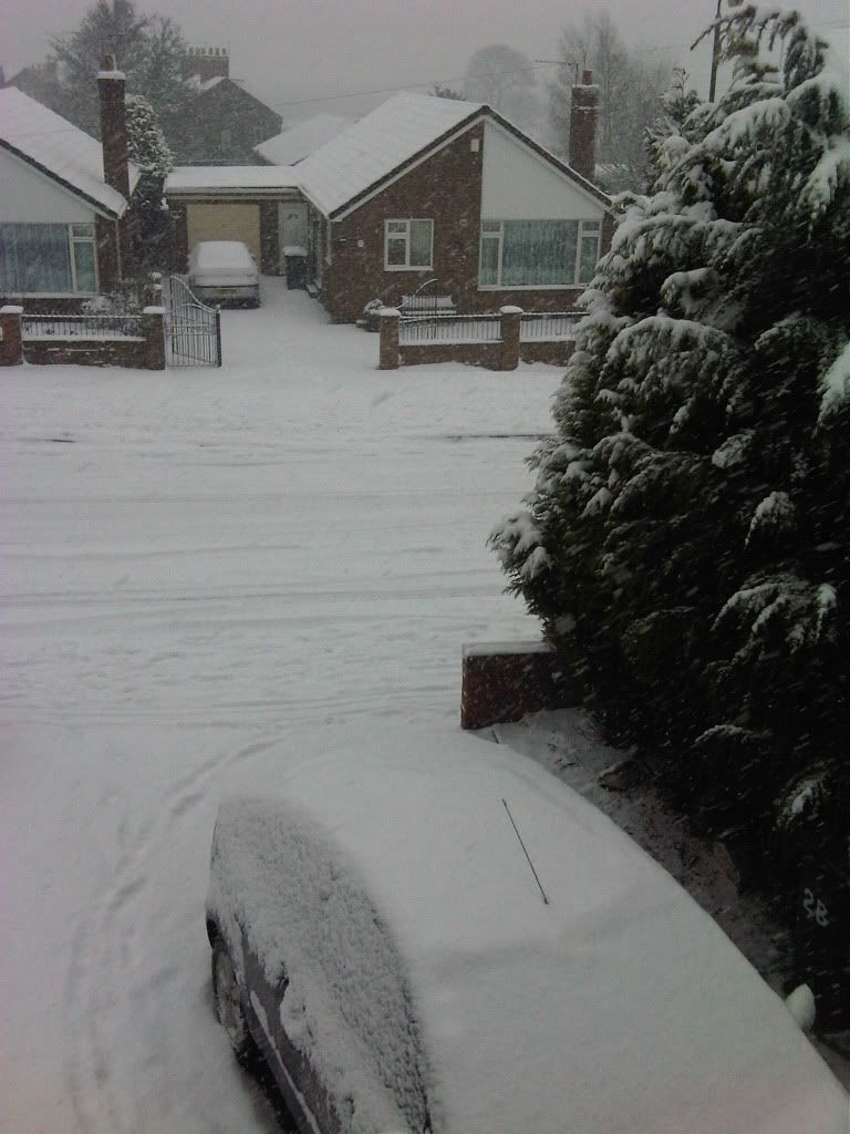 snowjan102.jpg