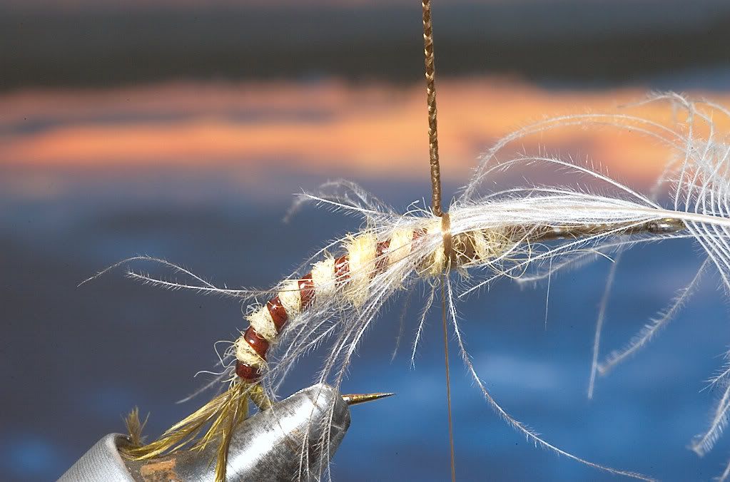 Dubbing Danica/Vulgata paraloop emerger step by step Step by Step