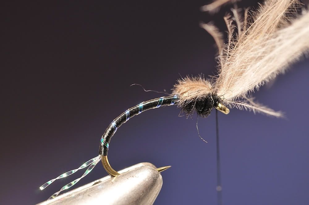 Crawling cdc midge pupa step by step Step by Step Patterns