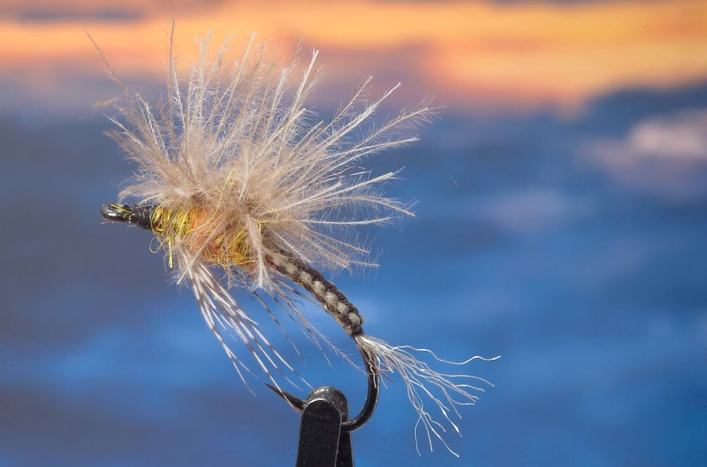 cdc paraloop mayfly emerger The Fly Tying Bench Fly Tying