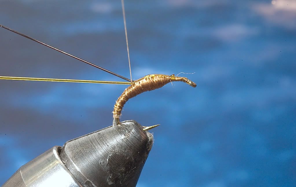 Woven stretch tubing paraloop emerger step by step Step by Step