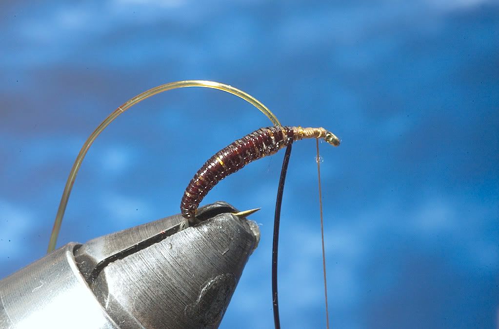 Woven stretch tubing paraloop emerger step by step Step by Step