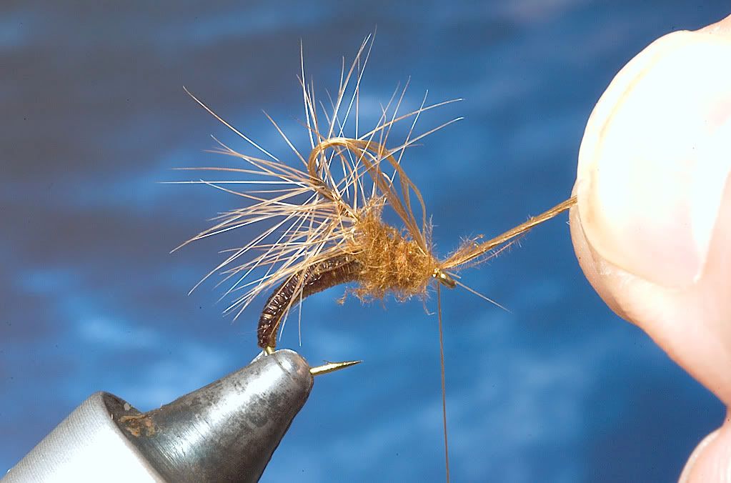 Woven stretch tubing paraloop emerger step by step Step by Step