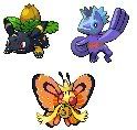 [PokeCommunity.com] Team Hidden Mist