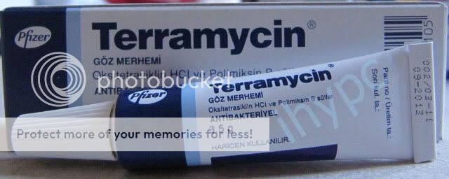 1x Terramycin Pet Eye Ointment 3.5 Gr Cat Dog Horse  